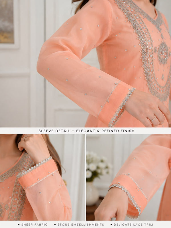 Luxury Chiffon Sequins & Beadwork Formal Wear – 3-Piece Palazzo Suit